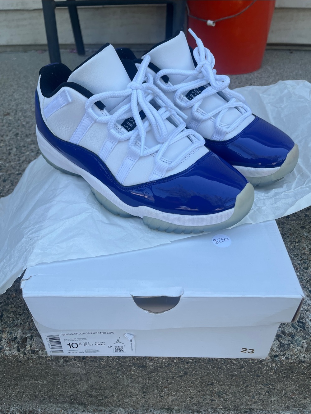 Jordan retro 11 Low Top Sneakers in White & Blue